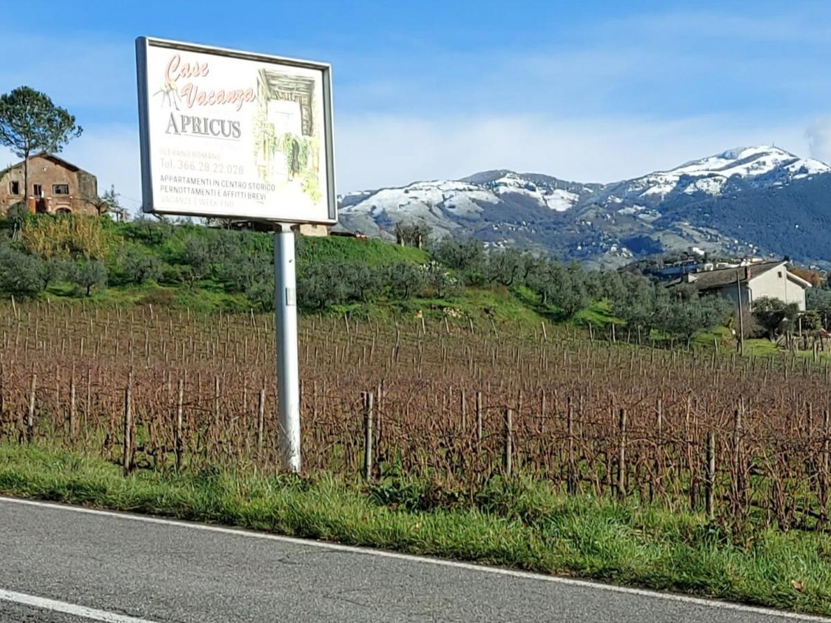 La Loggetta Di Apricus *